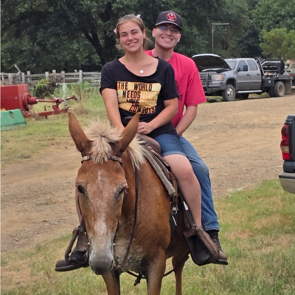 Meet your Posher, Destiny